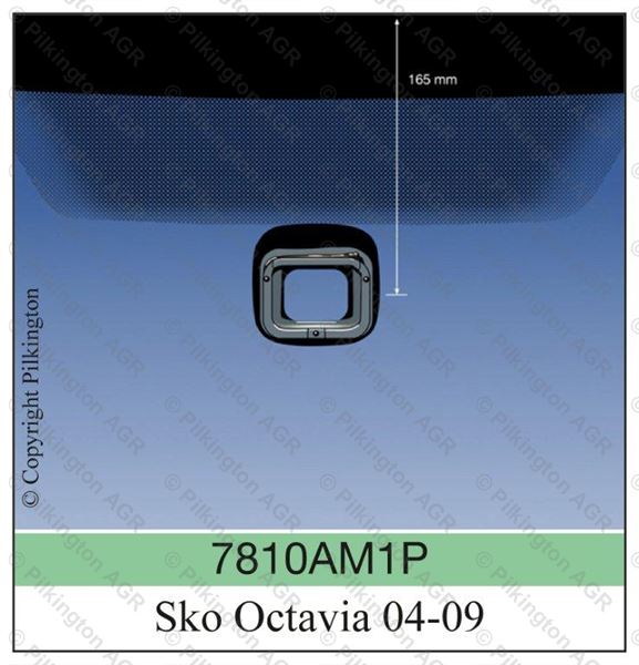 7810ACCGYMVZ1P